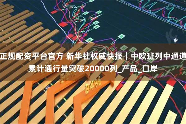 正规配资平台官方 新华社权威快报｜中欧班列中通道累计通行量突破20000列_产品_口岸